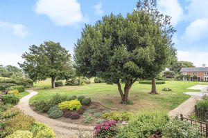 View from Sunroom- click for photo gallery